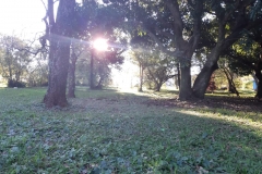 IMG-20190902-WA0037