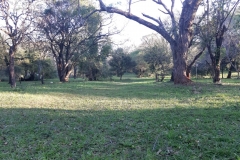 IMG-20190902-WA0040