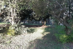 IMG-20190902-WA0044