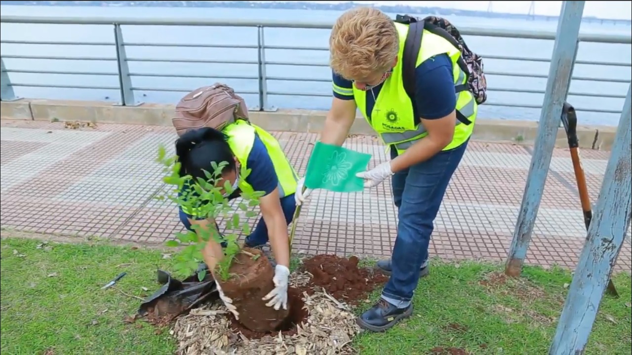 Plantaron 200 árboles en las Costaneras Este y Oeste